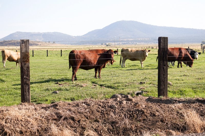 20150823_172613 RX100M4.jpg - Farm, OR